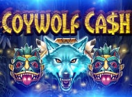 Игровой автомат Coywolf Cash на сайте Пин УП – играть без регистрации